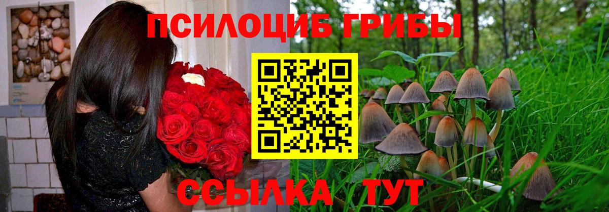 Галлюциногенные грибы MAGIC MUSHROOMS  как найти закладки  Топки  Вход с VPN  Галлюциногенные грибы Cubensis 